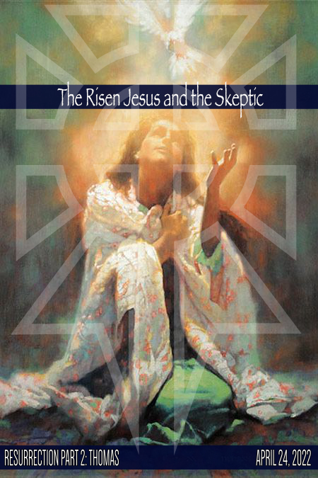 The Risen Jesus and the Skeptic